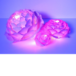 Eva’s GFX ♡