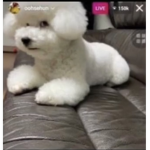 iluvmikesherm ୭̥⋆