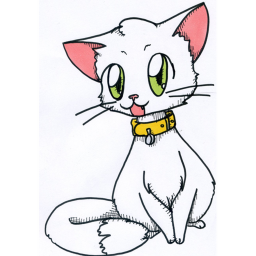 el mundo de los gatoos