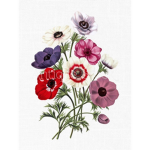 AnemonEE