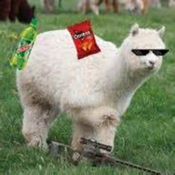 THE MLG ALPACAS's PARKOUR