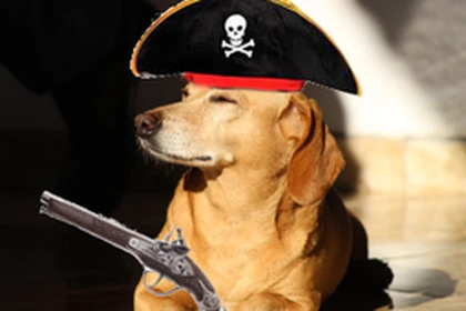 .Piratas Caramelo. Roblox group icon