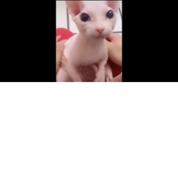 Testing