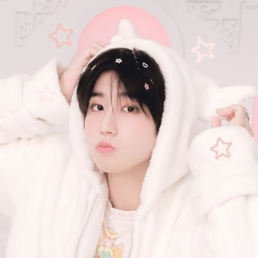 Han Jisung obby