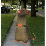 Hi olaf