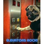 Elevator Squad!