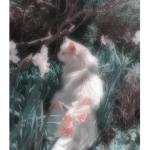 snowcat.