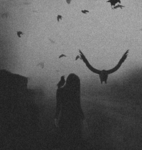 The crows'