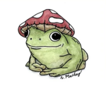 mushroom frogg