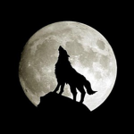 The Wolf Gamer