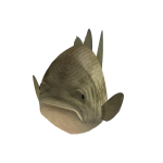 BIG Fish