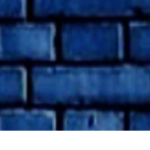 The BIue Brick Gang