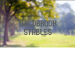 Wild-brook Stables