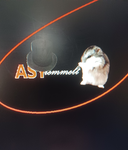 ASY Club