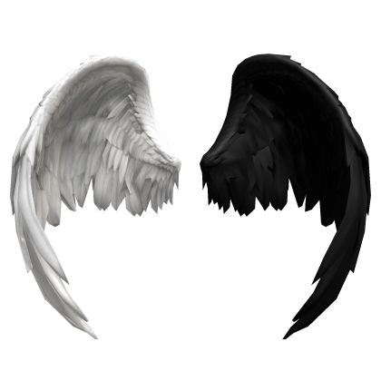 White And Black Wings