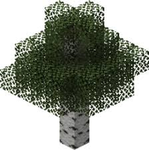 Deepwood