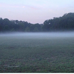 A foggy feild.