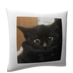 Pillow With Kitten