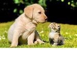 Me Friends And I