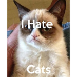The Cat Haters!