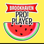 ✨ The ULTIMATE Brookhaven Quiz for PROS✨