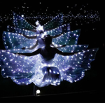 The Blue Sapphire’s Dance Group!