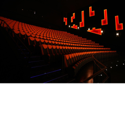 The cinema.