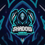 Shadow friends and bedwars gamers