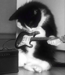 Gamin with dark cat