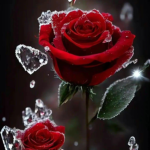 -*Serenity’s Garden*-