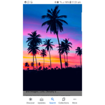 Simbasqaud8