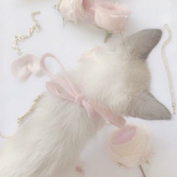 ♡