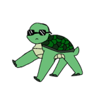 Turtle corporation.