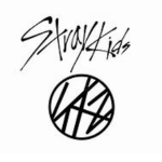 Fan Stray kids