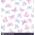aesthetic__butterflies