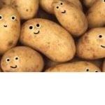 MINI_POTATOES