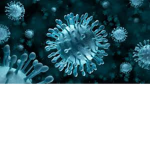 Virus army X