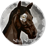 SilverStar Riding