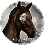 SilverStar Riding Group Thumbnail