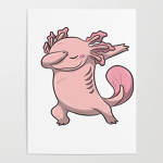 Axolotl Community