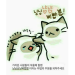 아일랜드좋아용