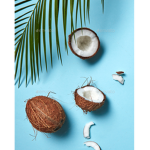 Coconut_Army
