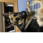 <BB