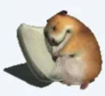 Los Hambreaditos de Yiz