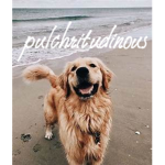 ~pulchritudinous clothing~