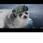 Navy Seal.