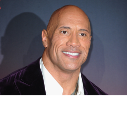 The Rock vs You