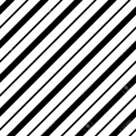 BlackWhiteTM