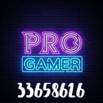 ProGamersOnly123