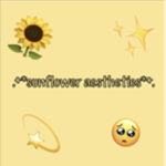 The sunfIowers